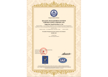 ISO9001